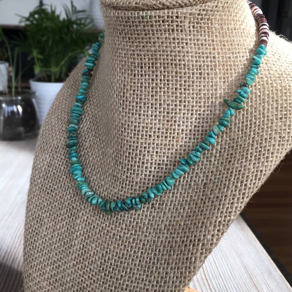 Turquoise & Shell Necklace